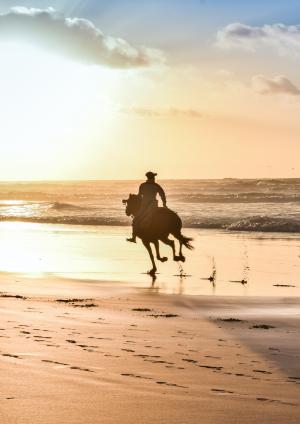 Le Casablanca Hôtel